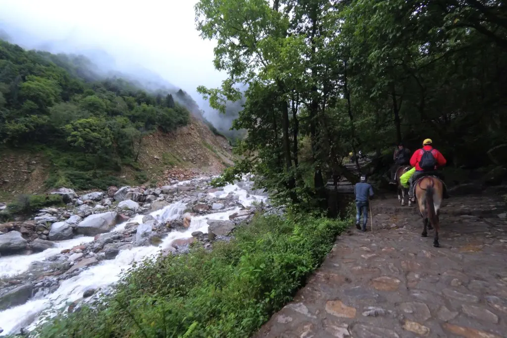 valley-of-flowers-uttarakhand