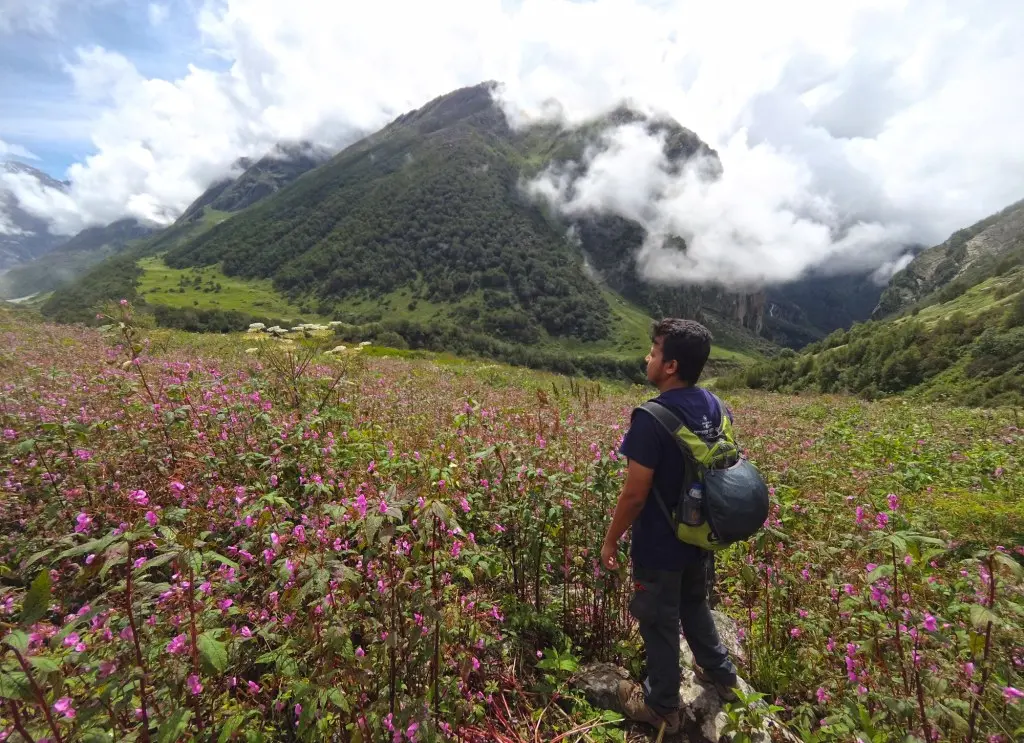 valley-of-flowers-uttarakhand