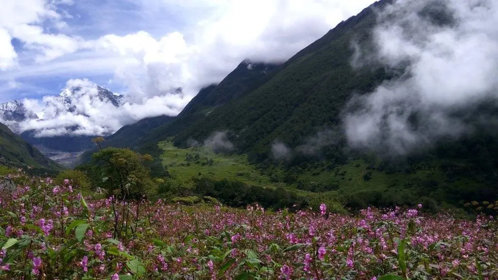 valley-of-flowers-uttarakhand