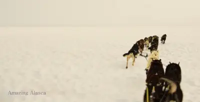 Amazing AlasKa Part I Blog