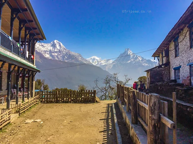 Poon Hill Trek