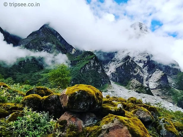 Yumthang Valley - Valley of Flowers