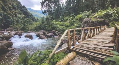 Sandakphu, TripSee