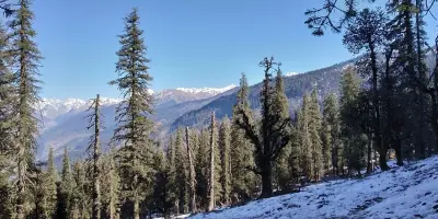 Kedarkantha, TripSee