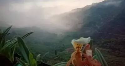 KURSEONG A SPOOKY AFFAIR BLOG Bima Choudhury