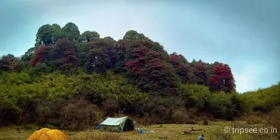 Phoktey Dara