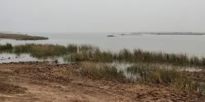 Little Rann Of Kutch Blog Gopa Sarkar