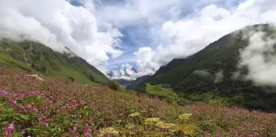 Valley Of Flowers Uttarakhandnama